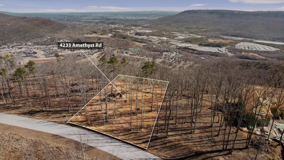 4233 Amethyst Road #Homesite 807, Chattanooga, TN 37419 - #1