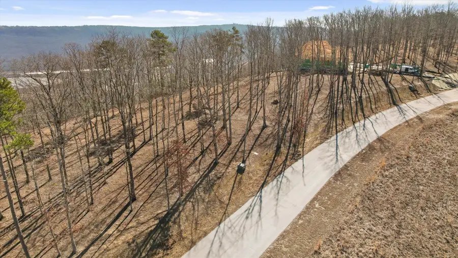 4233 Amethyst Road #Homesite 807, Chattanooga, TN 37419 - #2