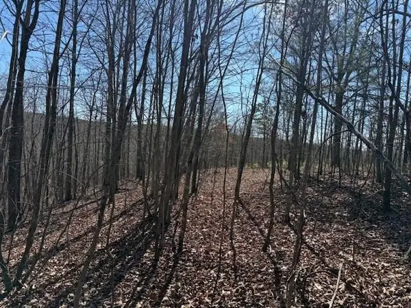 Tract 4 South Pittsburg Mountain #Tract 4, South Pittsburg, TN 37380