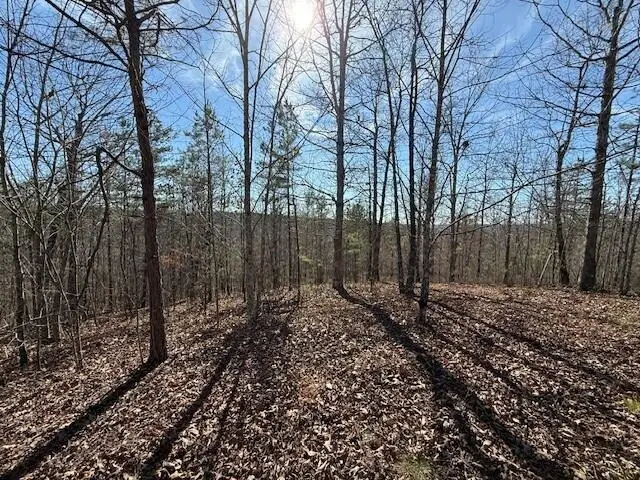 Tract 4 South Pittsburg Mountain #Tract 4, South Pittsburg, TN 37380 - #3