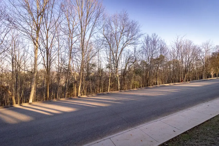 8820 Balata Drive, Ooltewah, TN 37363 - #3