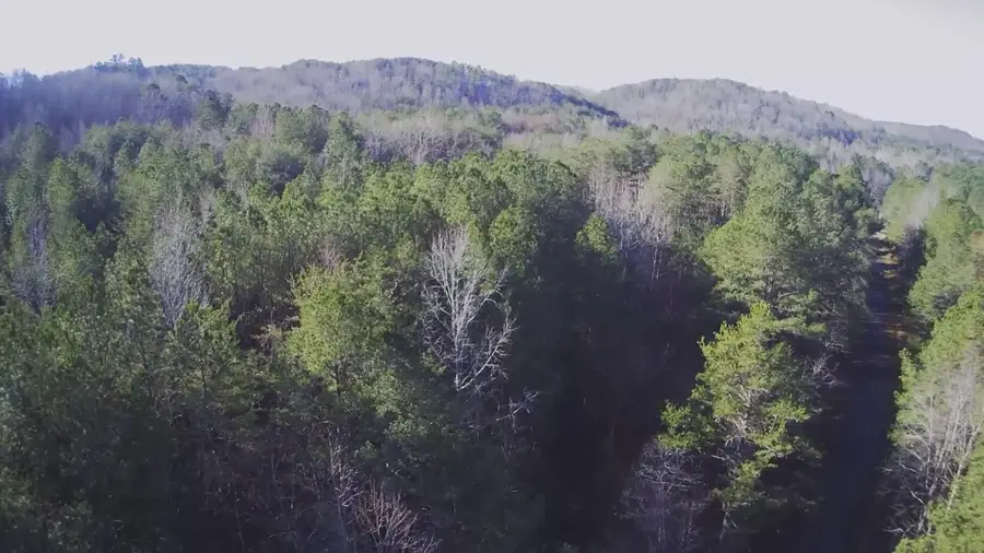 2512 Tolbert Town Road, Rockmart, GA 30153 - #3