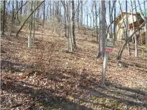 147 Eagle Creek Trail, Rising Fawn, GA 30738 - #2