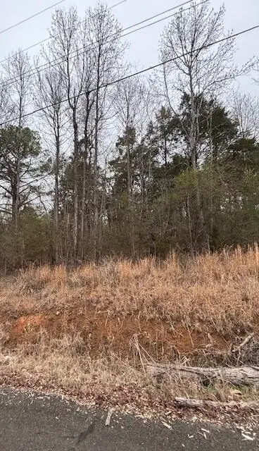 0 Sugar Tree Trail, Birchwood, TN 37308 - #1