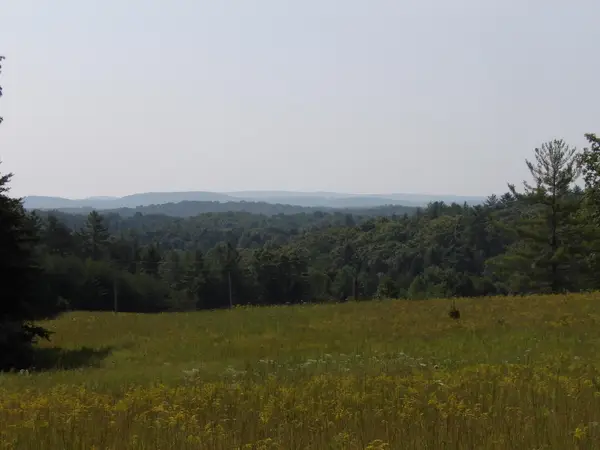 243 Mountain View Drive #19, Deer Lodge, TN 37726