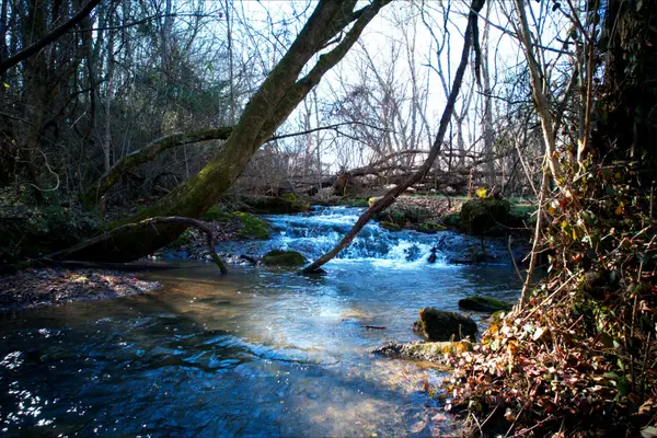 0 Rheatown Road, Chuckey, TN 37641