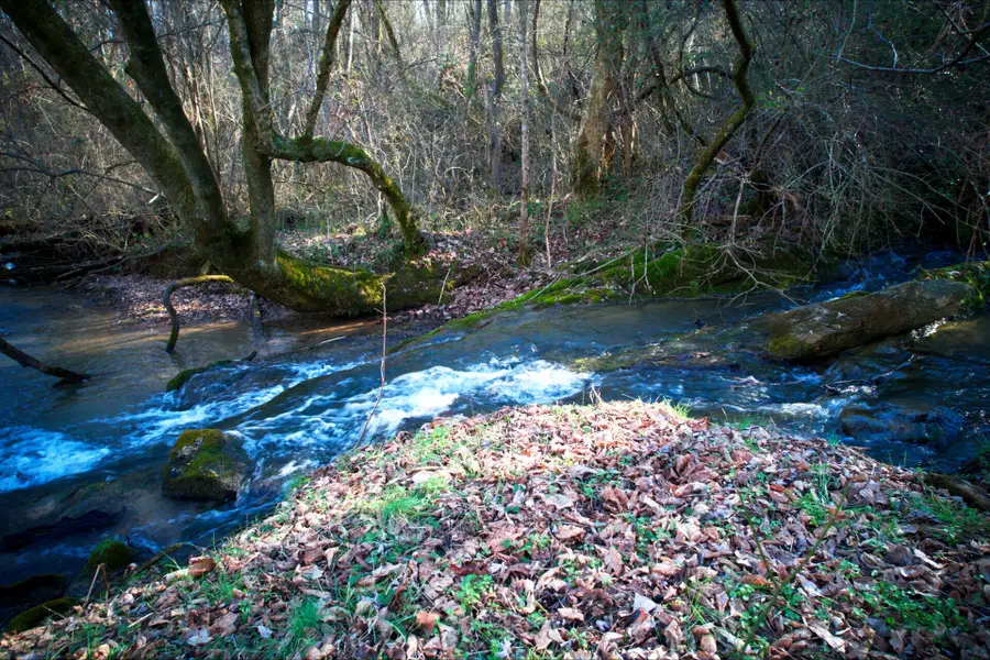 0 Rheatown Road, Chuckey, TN 37641 - #3