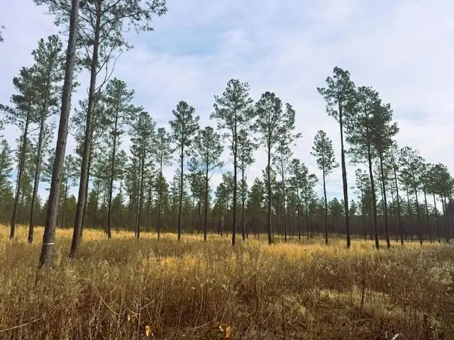 Tract 12 Hughes Lake Road Se, Cleveland, TN 37323 - #3