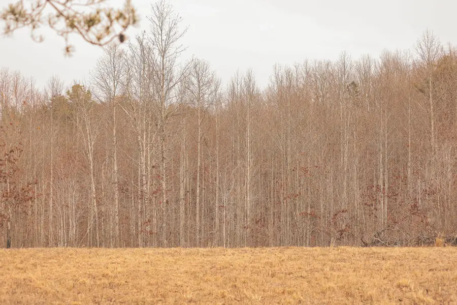 1555 Palmer Firetower Road, Palmer, TN 37365 - #3