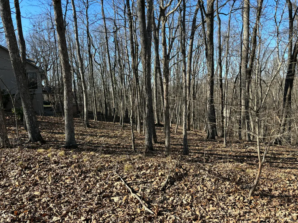 239 Amherst Lane, Crossville, TN 38558 - #1