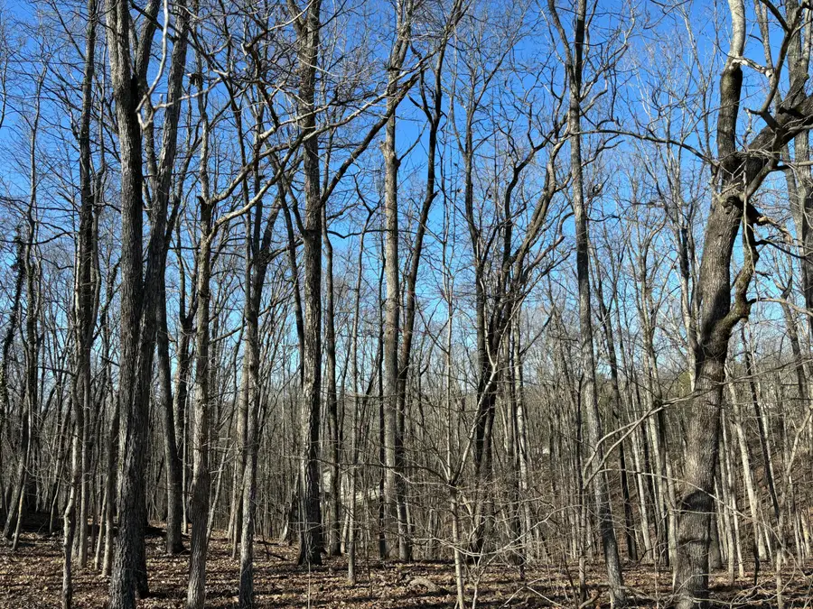 239 Amherst Lane, Crossville, TN 38558 - #3