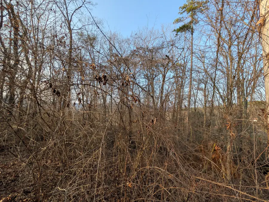 00 Pine Breeze Circle #Lot 5, Rockwood, TN 37854 - #2
