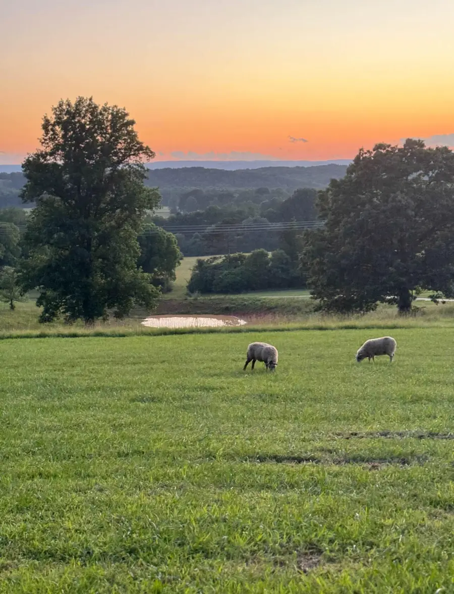 13574 Braxton Lane, Birchwood, TN 37308 - #2