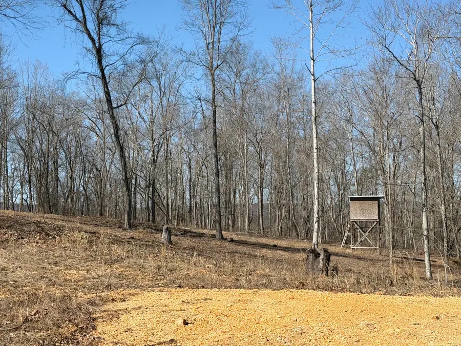 1046 Pendall Lane, Soddy Daisy, TN 37379 - #2