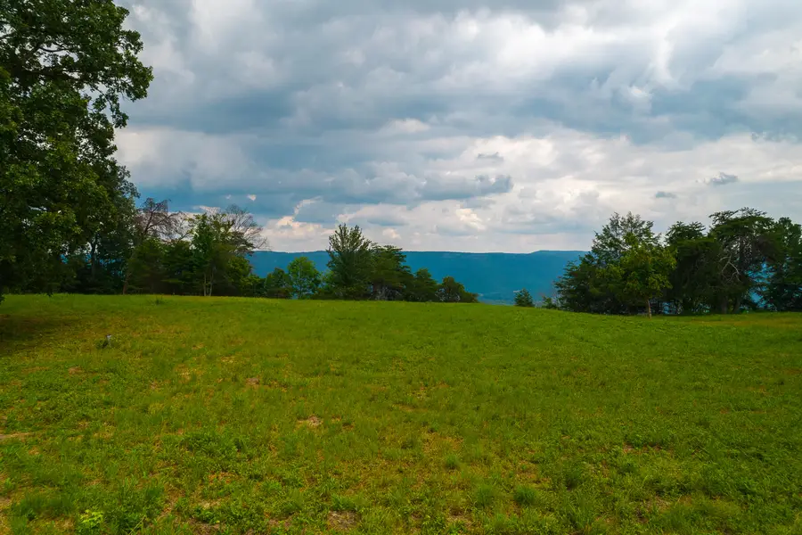 00 Brow Road, Trenton, GA 30752 - #3