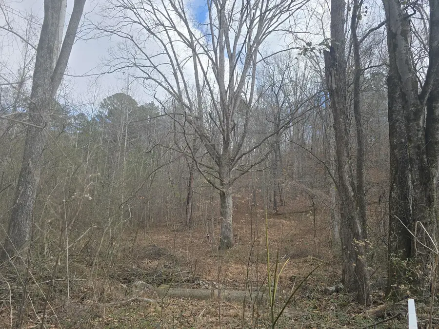 0 Cindy Lane, Ringgold, GA 30736 - #3