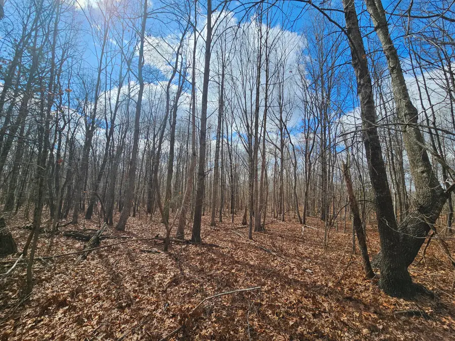 10 Griswold Road, Altamont, TN 37301 - #3