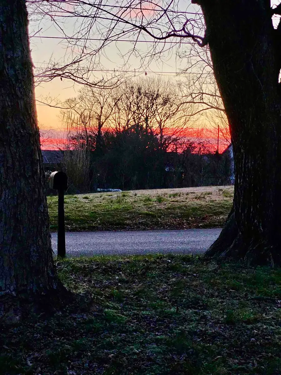 303 Pearl Avenue, Chickamauga, GA 30707 - #2