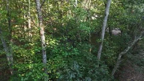 000 Lower River Road Nw, Georgetown, TN 37336 - #2