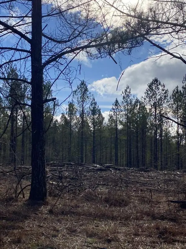 Lot 5 Thomas Springs Road #Lot 5, Crossville, TN 38572