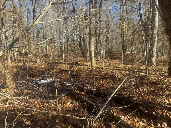 280 Chapman Road #Tract 2, Dunlap, TN 37327