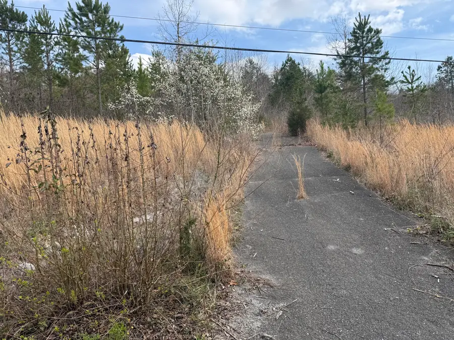 10 Tanglewood Trail, Trenton, GA 30752 - #2