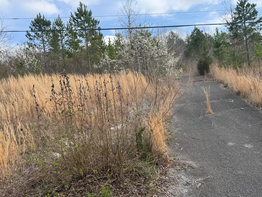 10 Tanglewood Trail, Trenton, GA 30752 - #3