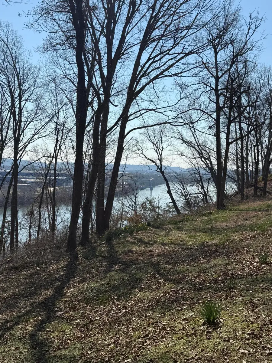 414 Dogwood Lane, Chattanooga, TN 37405 - #2