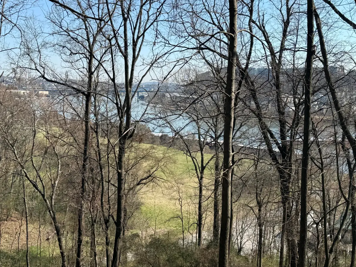 418 Dogwood Lane, Chattanooga, TN 37405 - #1