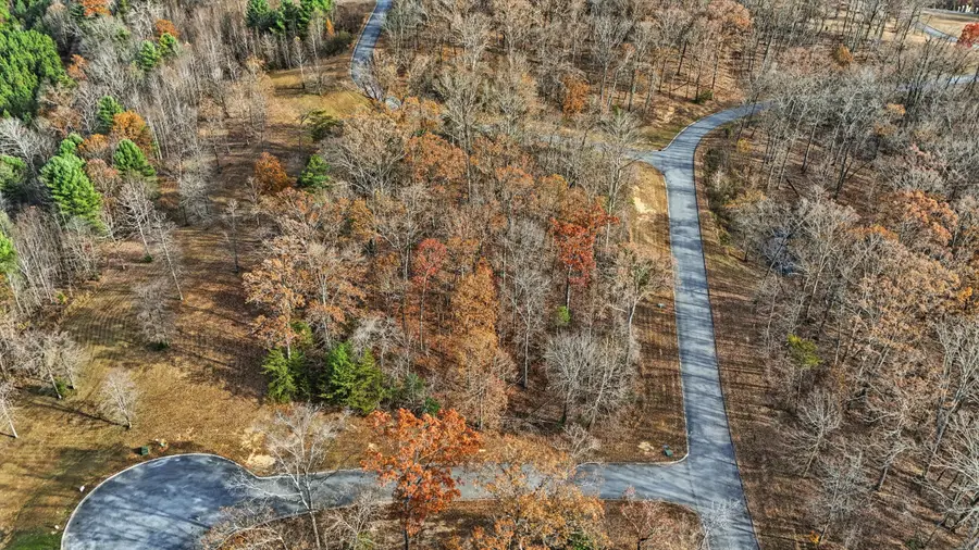 125 Hidden Forest Trail, Spring City, TN 37381 - #2