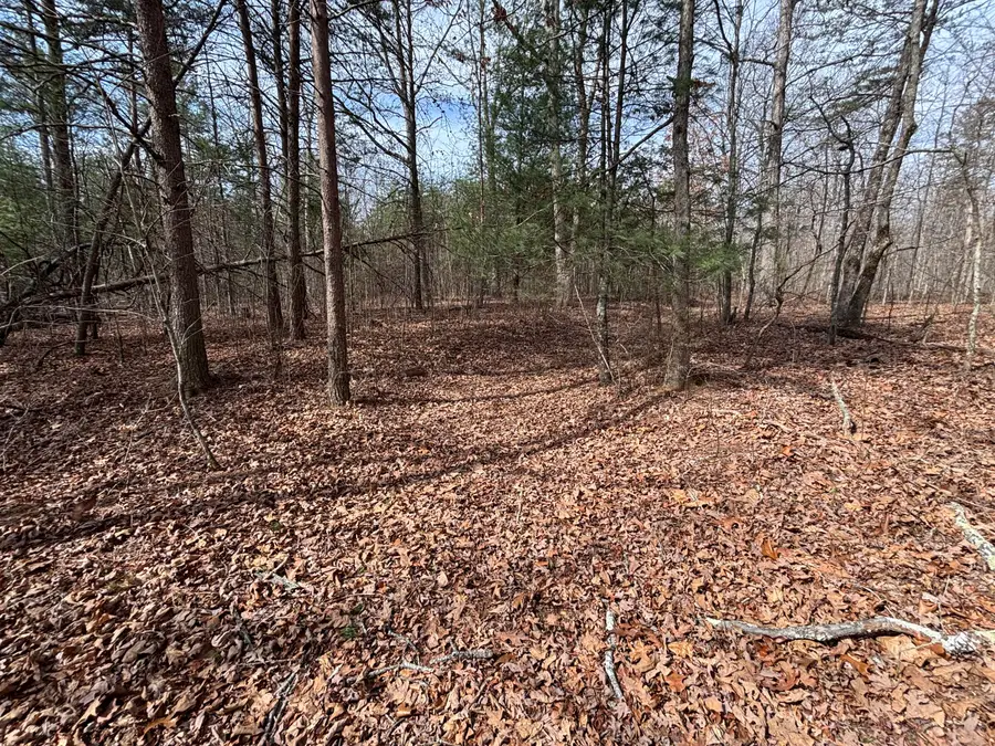 1410 New Harmony Road, Graysville, TN 37338 - #2