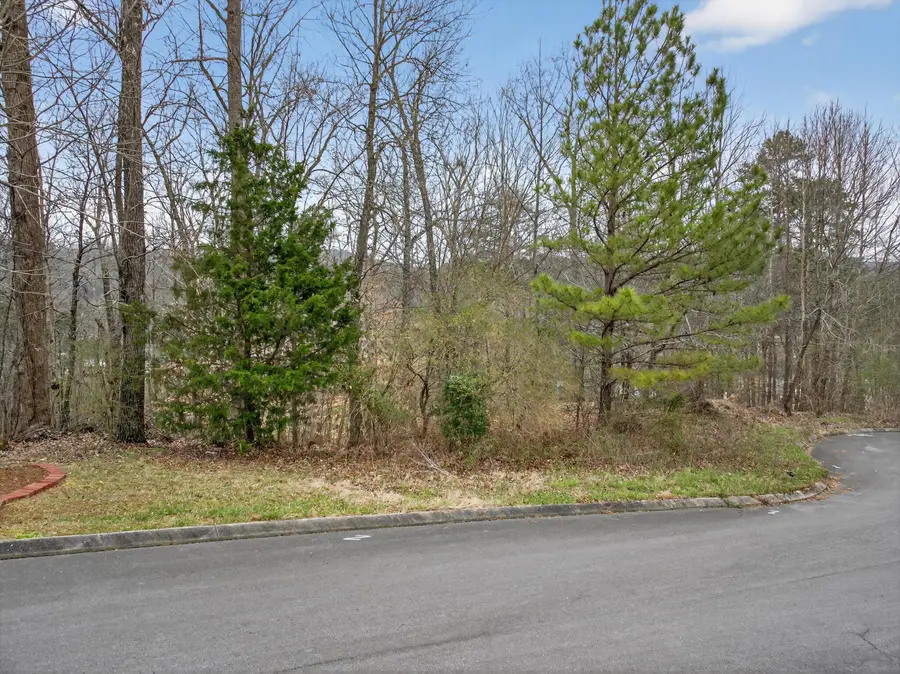 0 Turkey Trot Drive #Lot 14, Rocky Face, GA 30740 - #3