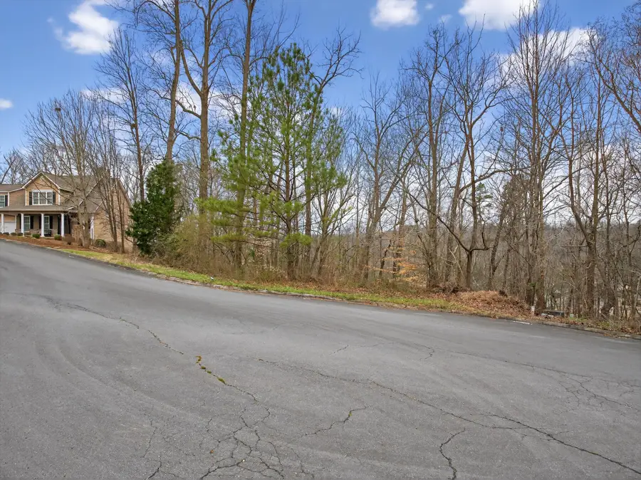 0 Turkey Trot Drive #Lot 15, Rocky Face, GA 30740 - #2