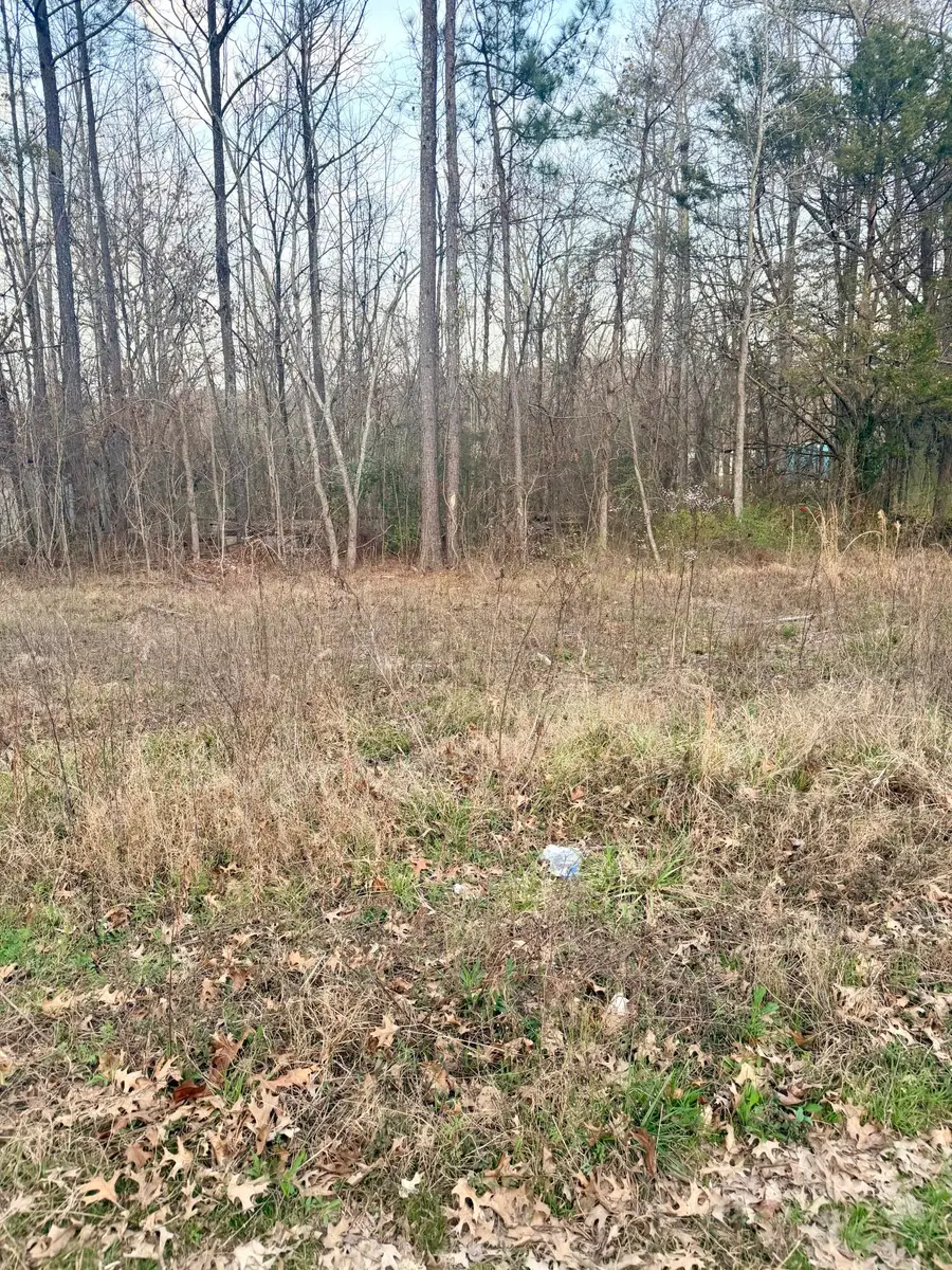 24 Kenmore Lane, Ringgold, GA 30736 - #2