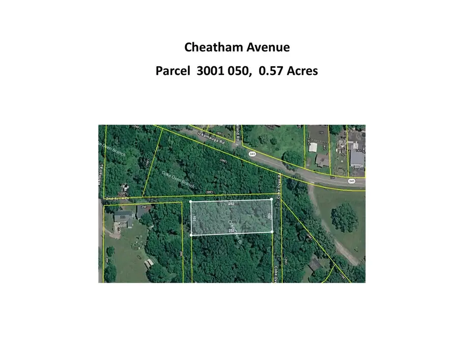 0 Cheatham Avenue, Chickamauga, GA 30707 - #3