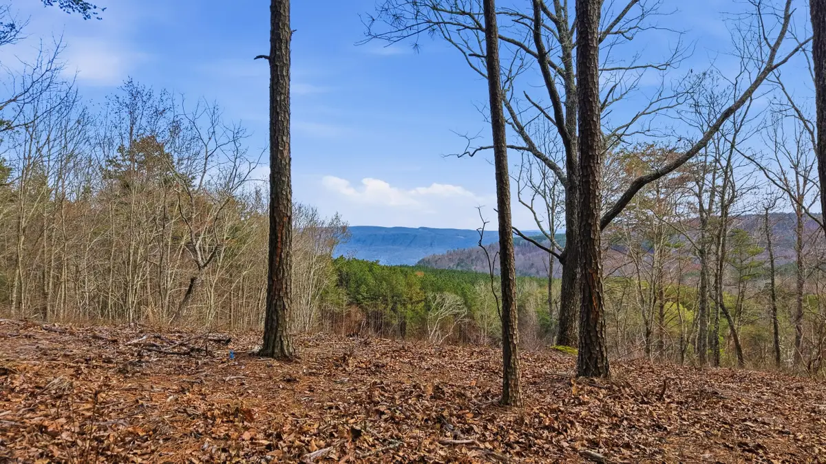 Lot 2154 Fallen Oak Pass, Guild, TN 37340 - #1
