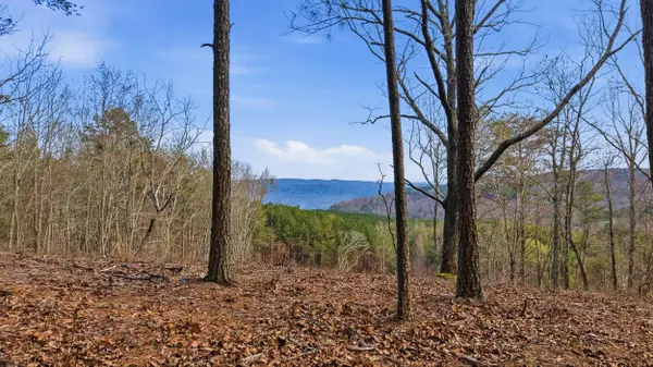 Lot 2154 Fallen Oak Pass, Guild, TN 37340