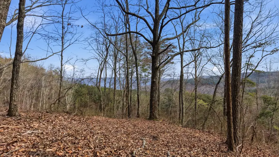 Lot 2154 Fallen Oak Pass, Guild, TN 37340 - #2