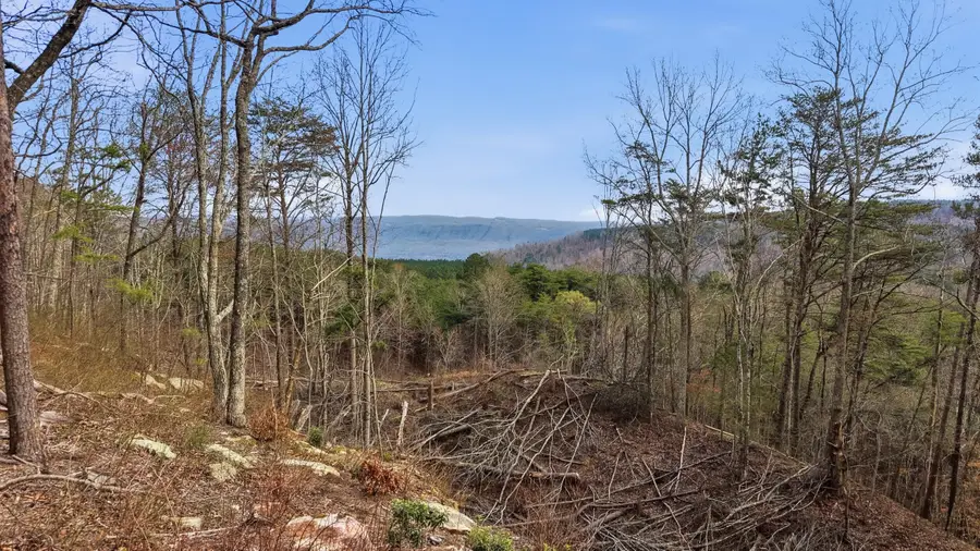 Lot 2154 Fallen Oak Pass, Guild, TN 37340 - #3