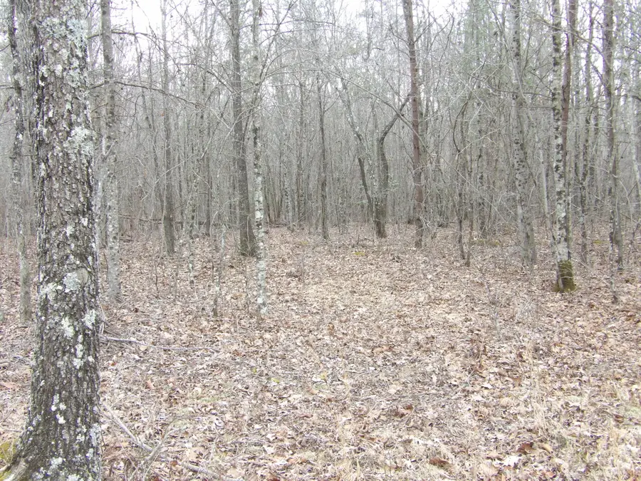 0 Camp Creek Road, Spencer, TN 38585 - #3