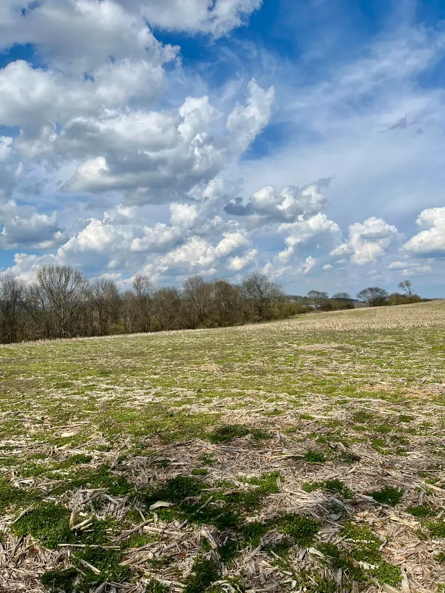 7799 E Valley Road, Dunlap, TN 37327 - #2