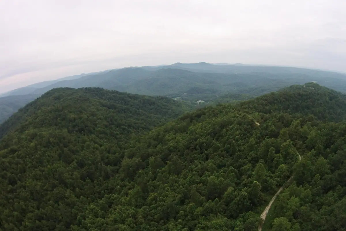 Tract 1 Straight Fork Road #Tract 1, Huntsville, TN 37756 - #1