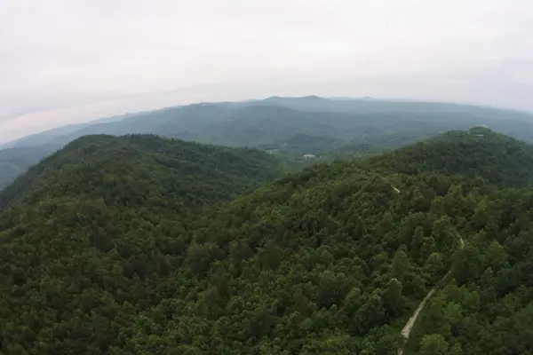 Tract 1 Straight Fork Road #Tract 1, Huntsville, TN 37756