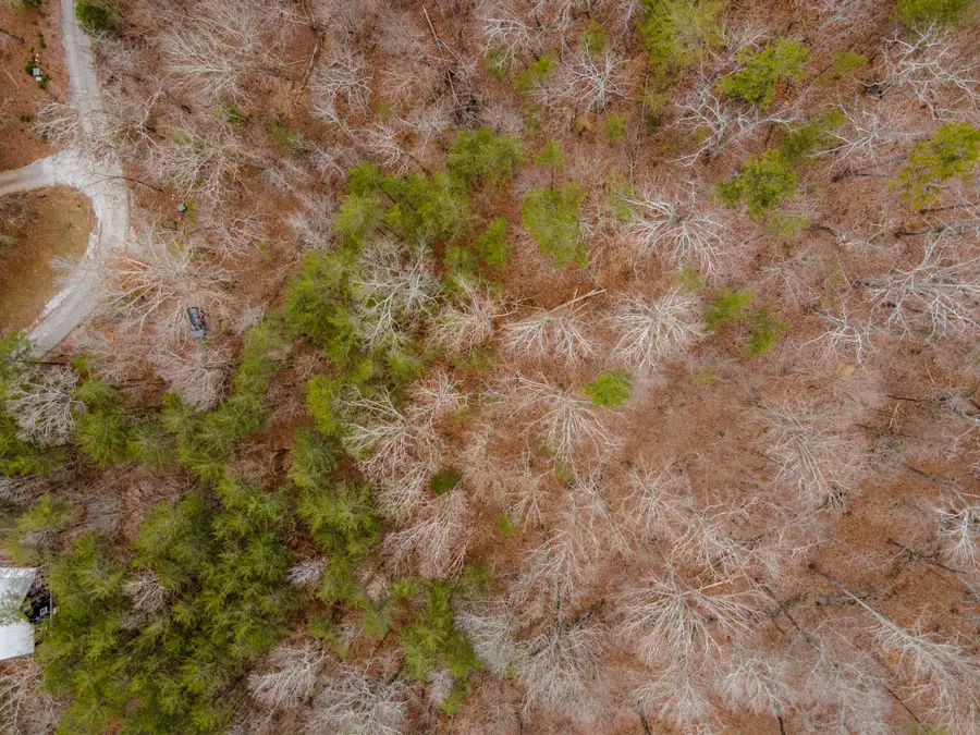 45 Valley Rim Drive #45, Chickamauga, GA 30707 - #3