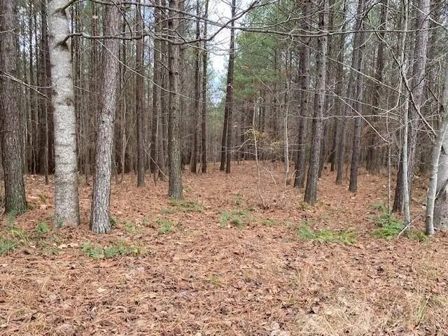 Lot 54 Mokay View Drive #54, South Pittsburg, TN 37380 - #2
