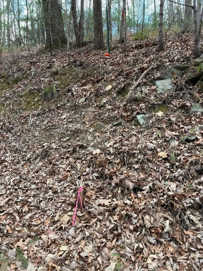 00 Chestnut Mountain Road, Reliance, TN 37369 - #3