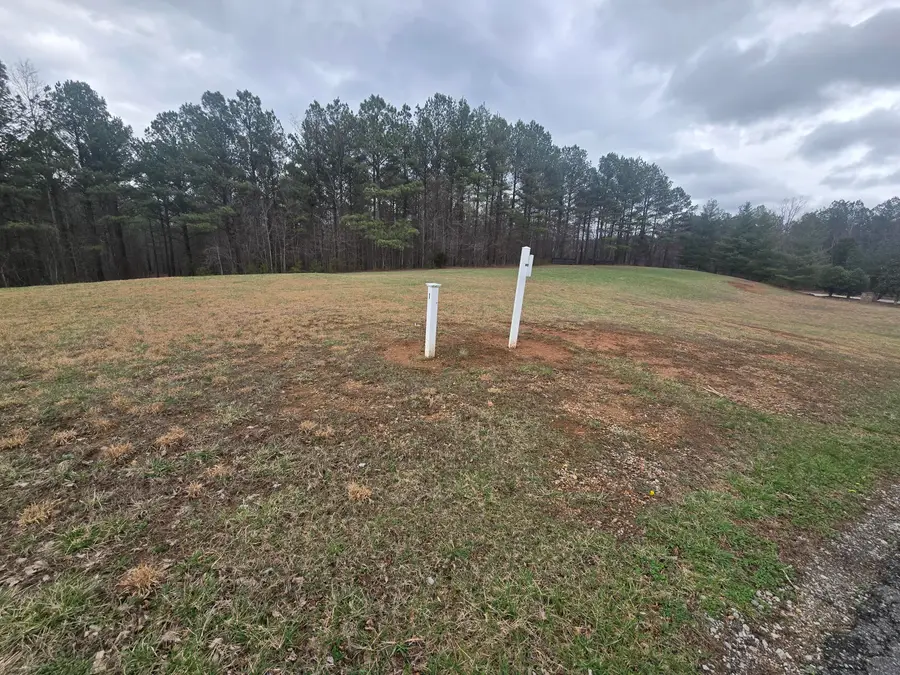 000 Thunder Ridge Drive, South Pittsburg, TN 37380 - #2