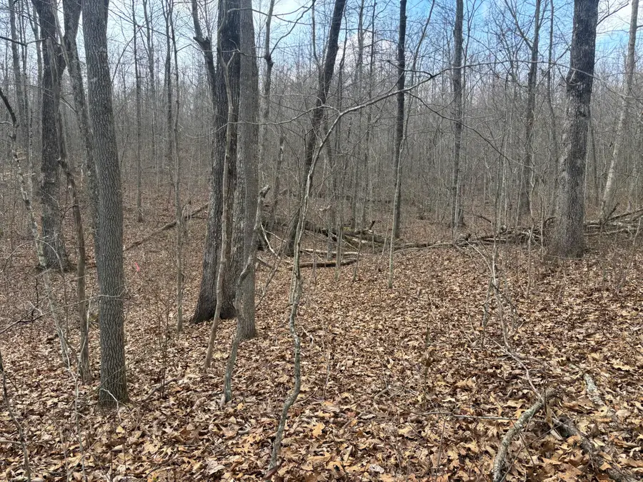 Lot 161 Quail Lane, Dunlap, TN 37327 - #3