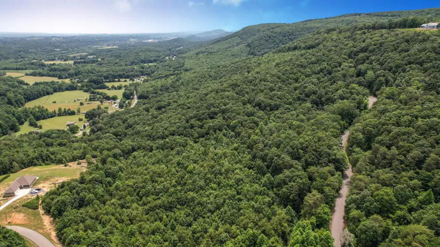 Lot 25 Escape Drive, Evensville, TN 37332 - #3