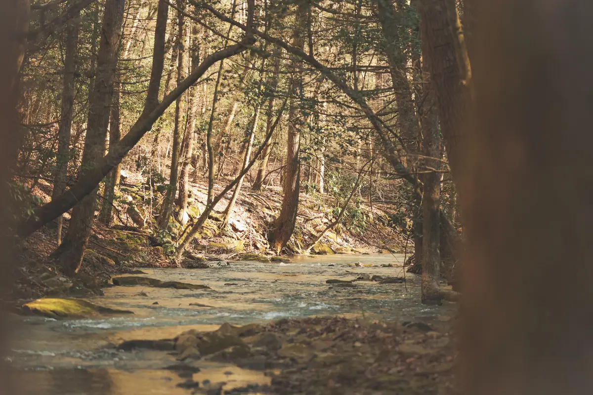 12733 Jones Gap Road, Soddy Daisy, TN 37379 - #1